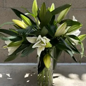 Whispering Lilies white lily arrangement with glossy green foliage in a clear glass vase by a Santa Monica florist