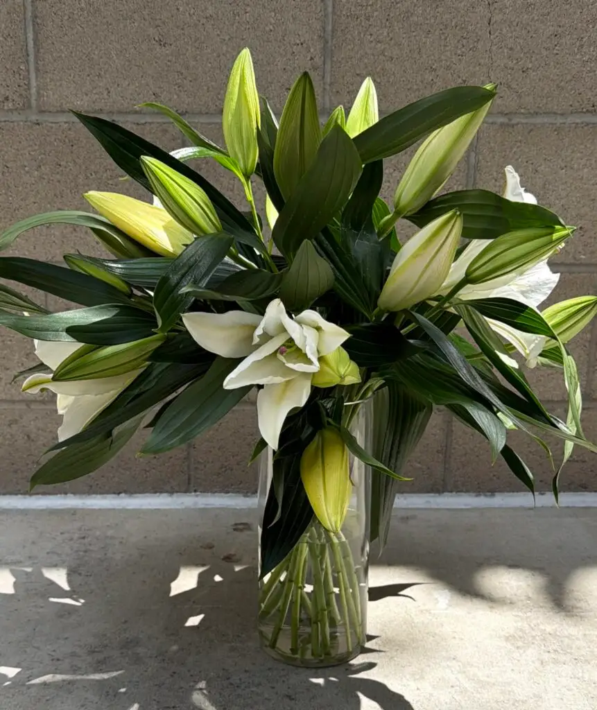 Whispering Lilies white lily arrangement with glossy green foliage in a clear glass vase by a Santa Monica florist